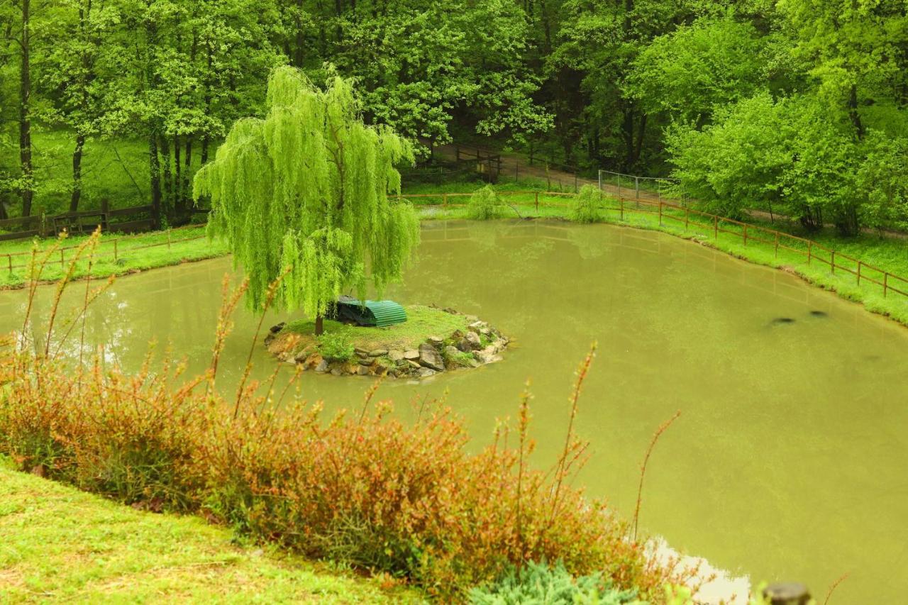 Agriturismo Grammelot Сарнико Екстериор снимка