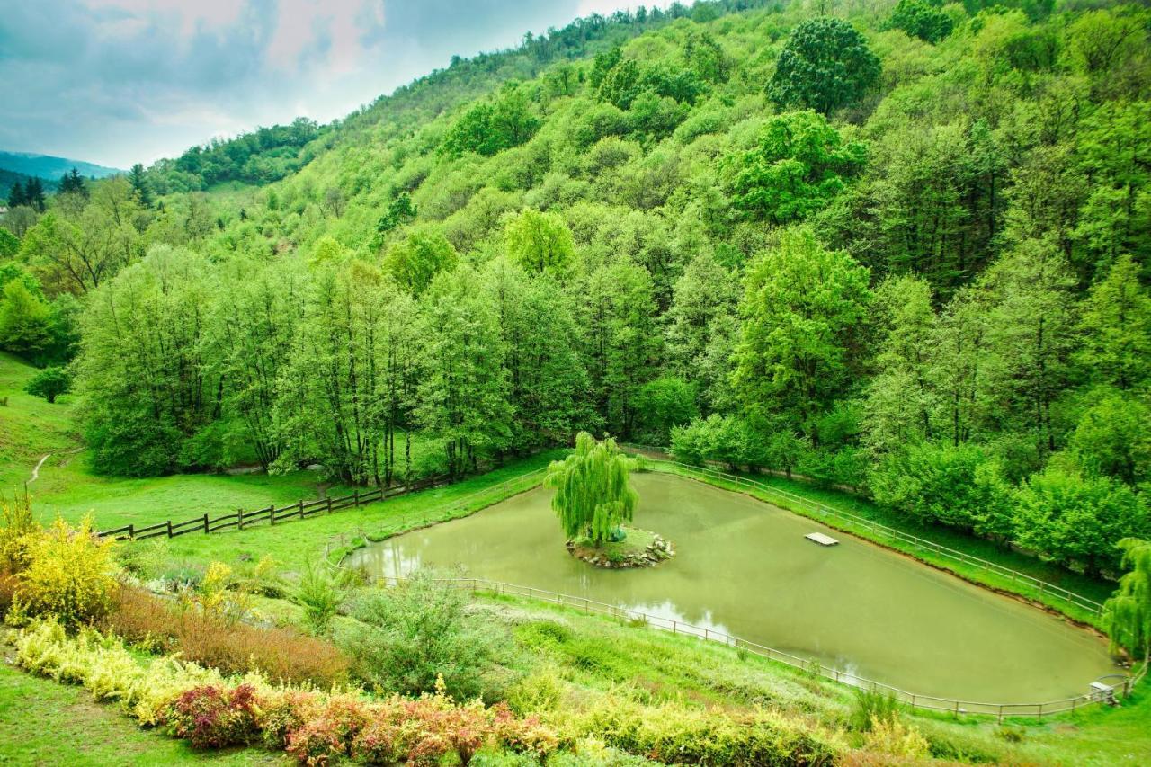 Agriturismo Grammelot Сарнико Екстериор снимка
